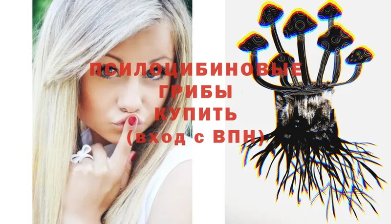 купить наркоту  Грязи  Галлюциногенные грибы Psilocybe 